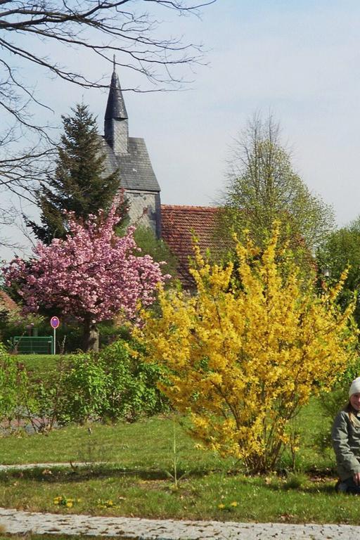 Ferienwohnung Siebmann Neuruppin Oda fotoğraf