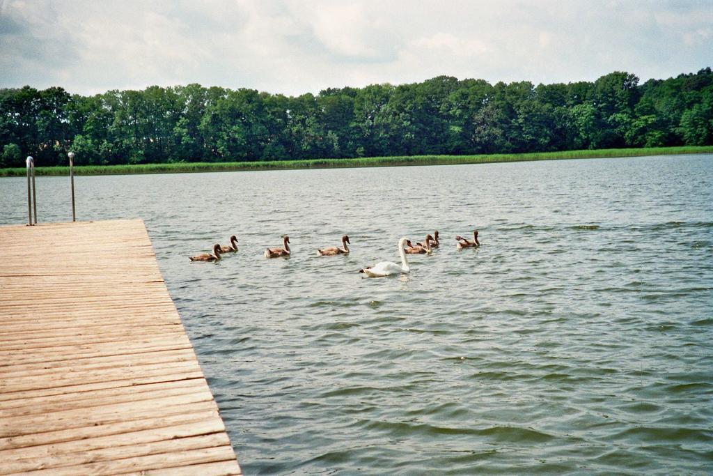 Ferienwohnung Siebmann Neuruppin Oda fotoğraf